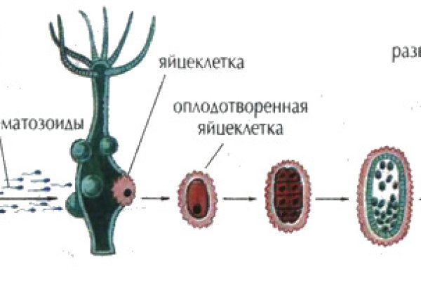 Кракен ссылка тор kr2web in