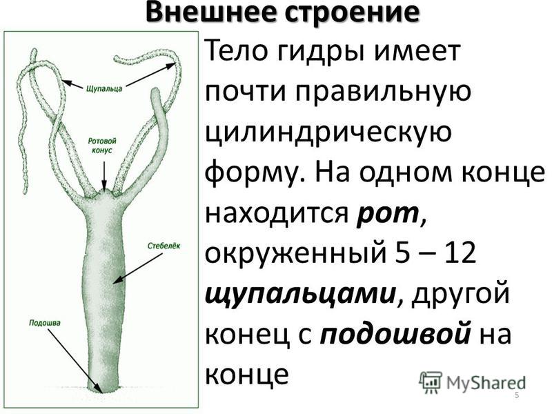 Вход на кракен